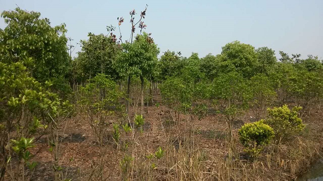 園區基地展示(4)